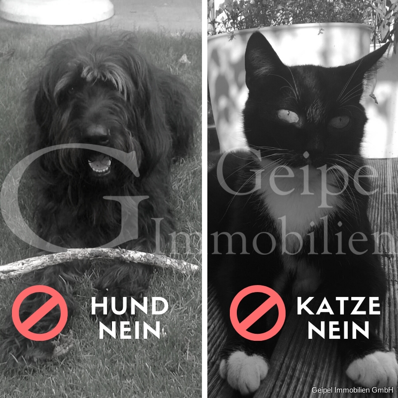 Hund nein - Katze nein Etagenwohnung Alfeld (Leine)