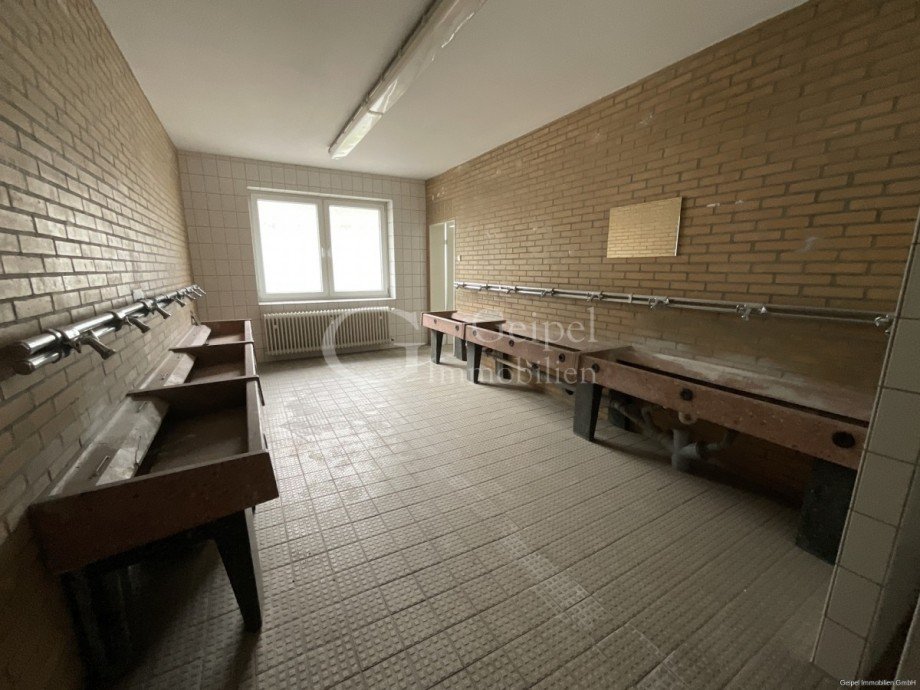 Waschbereich Halle Alfeld
